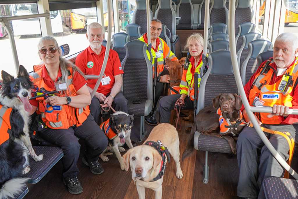 dogs on a bus